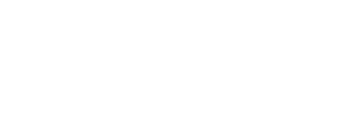 Codn Solutions Logo